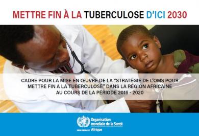Cadre pour la mise en œuvre de la “Stratégie de l’OMS pour mettre Fin à la Tuberculose” dans la Région africaine au cours de la période 2016 - 2020