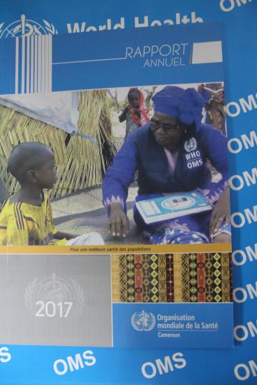 Le rapport annuel 2017 du Cameroun