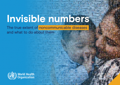  Invisible numbers: the true extent of noncommunicable diseases and what to do about them