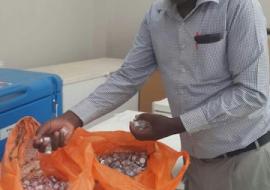 MOH official handles tOPV collected in Garissa County