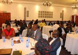 Over 60 health workers participated at the first DHMT Health Systems training session at Malawi Sun Hotel, Blantyre. The second and third sessions will happen from June 2016