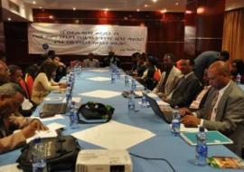 13th African Traditional Medicine Day commemoration in Ethiopia