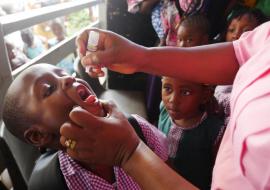 A child being vaccinated against polio in Freetown on day one of the four days campaign
