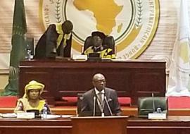 The second ordinary session of the fifth Pan-African Parliament took place in Midrand, South Africa from 6-17 May
