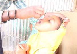 mOPV2 vaccination in Fafan zone of Somali region 