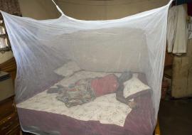 Women Sleeping in an Treated Insecticide treated net