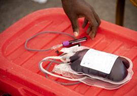 Blood donation rate falls in Africa in wake of COVID-19 pandemic