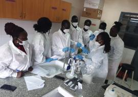 Technical Officers in the National Public Health Laboratory trained on yellow fever laboratory testing and confirmation