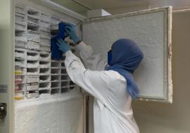 Un laboratoire kényan renforce la surveillance du génome en Afrique