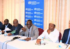 Les officiels lors de la validation de la SCP 2022-2026 Comores - OMS