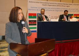 WHO Ethiopia hosts a high-level summit on appropriate use of antimicrobials in Africa