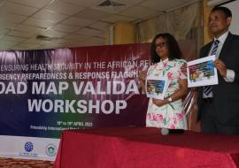 Collaborating for a Rapid and Efficient Response: The Emergency Preparedness and Response Flagship Initiative in Ethiopia