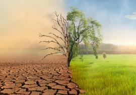 Regional initiative to tackle health impacts of climate change in Africa launched