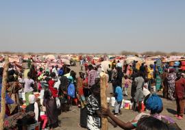 WHO requires US$ 145 million to respond to health emergency in Sudan and neighbouring countries