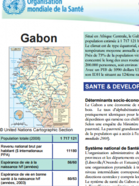 Un aperçu de la Stratégie de Coopération: Gabon