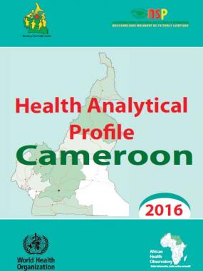 Health analytical profile : Cameroon - 2016