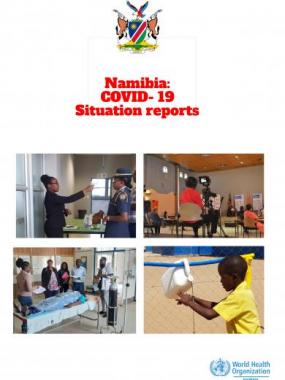 Namibia COVID-19 Situation Report from Number 212 -419