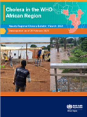 Cholera in the WHO African Region: Weekly Regional Cholera Bulletin: 1 March 2023