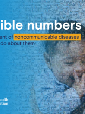  Invisible numbers: the true extent of noncommunicable diseases and what to do about them