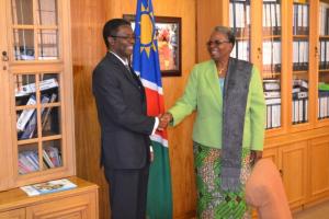 WHO Representative to Namibia, Dr Charles Sagoe-Moses shakes hands with Hon. Mrs. Netumbo Nandi-Ndaitwah, Namibia's Minister of International Relations and Cooperation