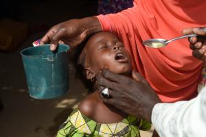 Integrated campaign tackles malaria and polio in north-eastern Nigeria