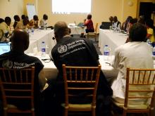 Participants presenting their findings and recommendations to the group in a plenary session.