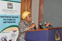 Honourable Ummy Ally Mwalimu, Minister of Health, Community Development, Gender, Elderly and Children giving a speech during the official launch of the STG/NEMLIT. 