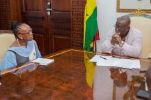 Dr Moeti in discussions with President Akufo-Addo