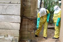 Les hygiénistes de l'équipe de prévention et contrôle de l'infection (PCI) décontaminent un ménage où était décédée une personne positive à la maladie  à virus Ebola au quartier Ngongolio de Beni, Nord Kivu. OMS/Eugene Kabambi