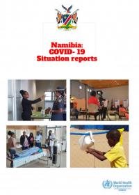 Namibia COVID-19 Situation Report from Number 212 -419