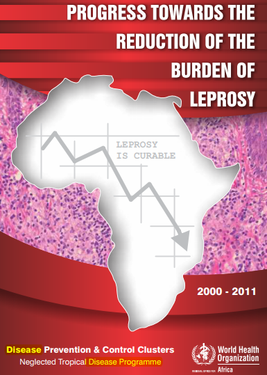 Progress towards the reduction of the burden of leprosy