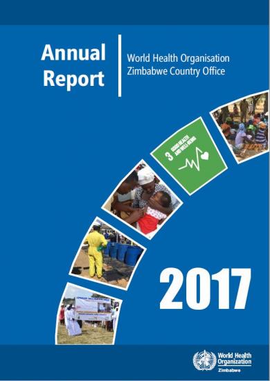 2017 Annual report cover