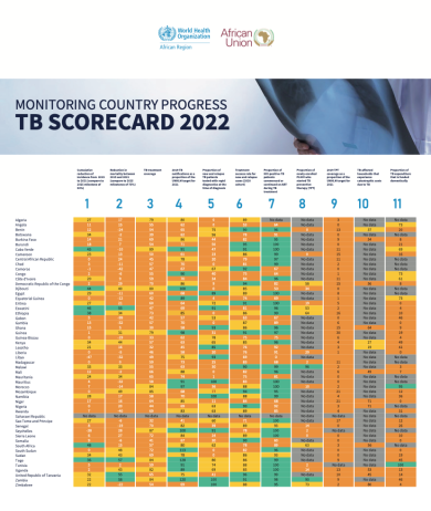 TB Scorecard 2022 - Monitoring country progress 