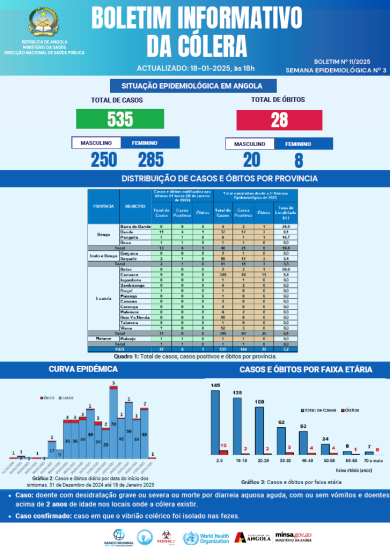 Boletim de Cólera 2024 Nº 11