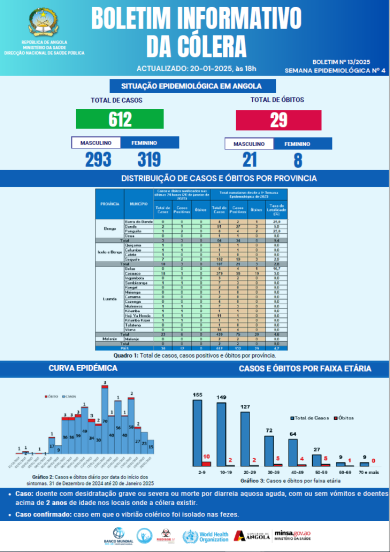 Boletim de Cólera 2024 Nº 13