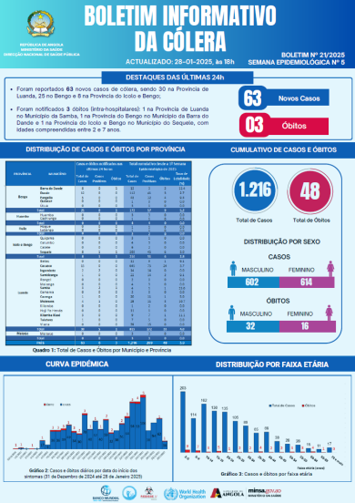 Boletim de Cólera 2024 Nº 21
