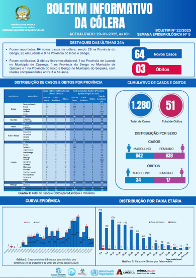 Boletim de Cólera 2024 Nº 22