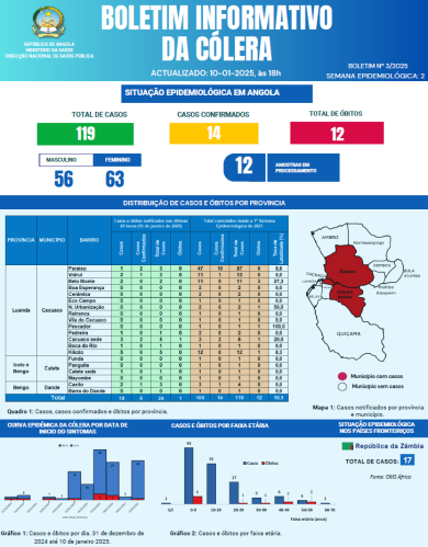Boletim de Cólera 2024 Nº 3