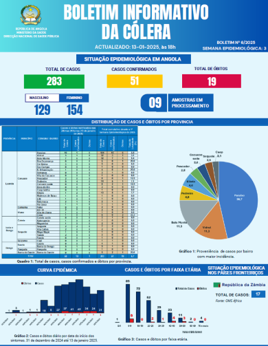 Boletim de Cólera 2024 Nº 6