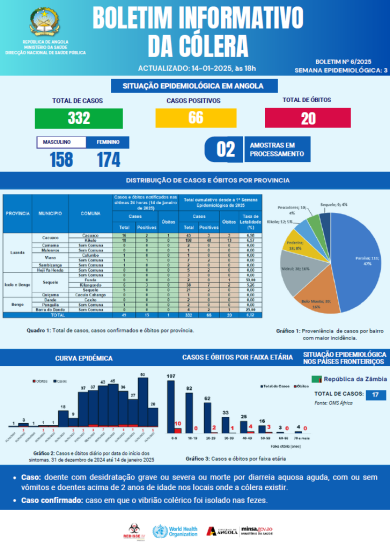 Boletim de Cólera 2024 Nº 7