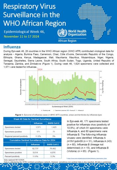 Week 46, November 11 - 17 2024