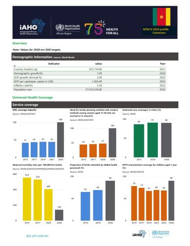 Cameroon Profile 2024