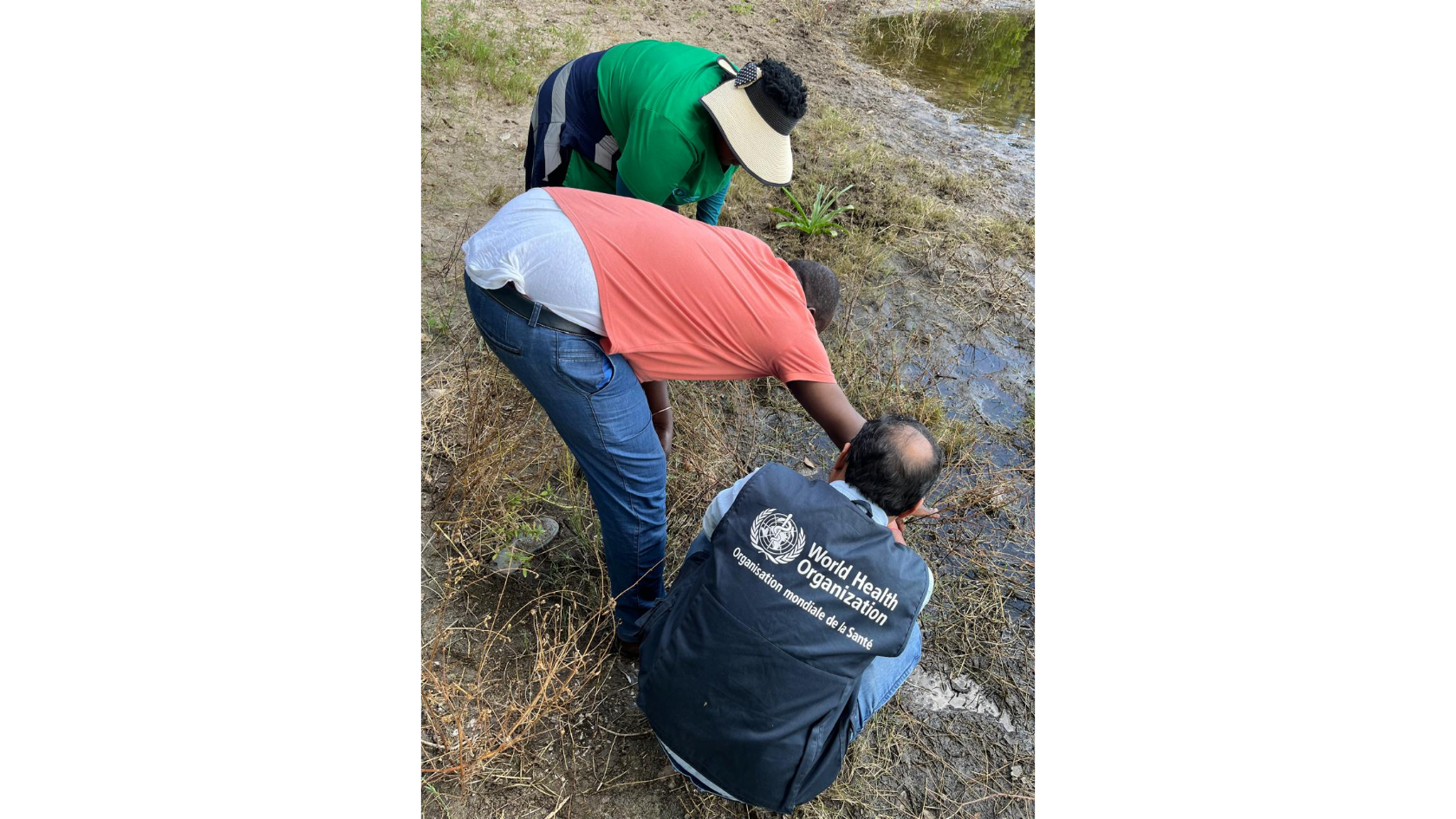 Dr Pandey (right) WHO technical officer for tropical vector-borne diseases, and a team exploring the breeding grounds of mosquitoes