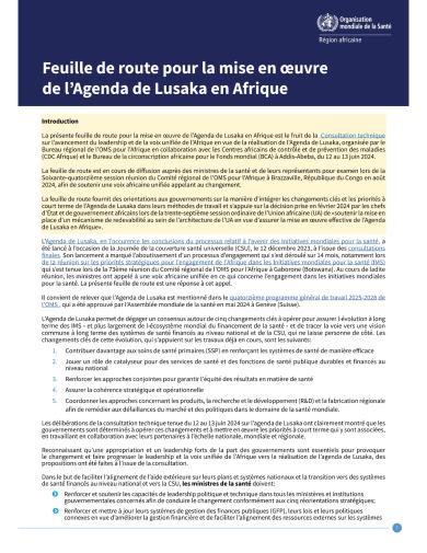 Roadmap for Implementation of the Lusaka Agenda in Africa_FR