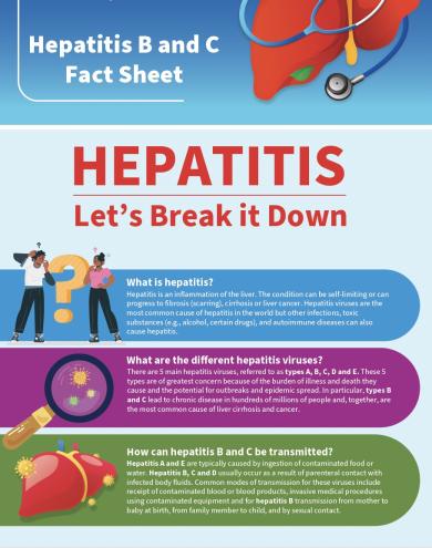 Hepatitis B and C Fact Sheet - 2025