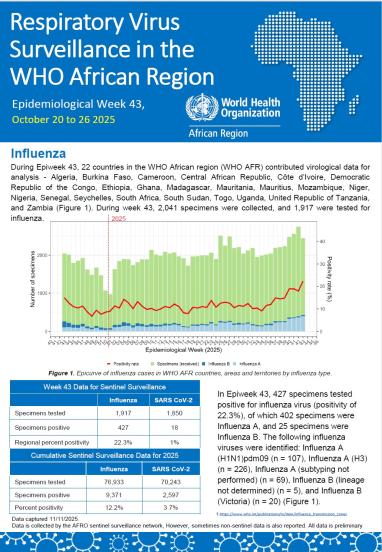 Week 43, October 20 to 26 2025