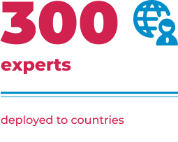 300 experts