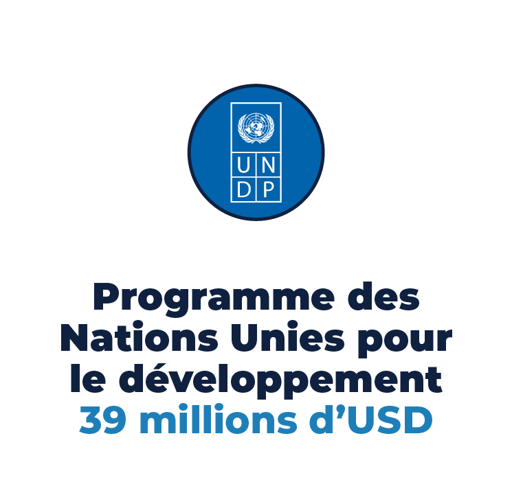 UNDP