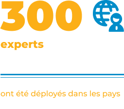 300 experts