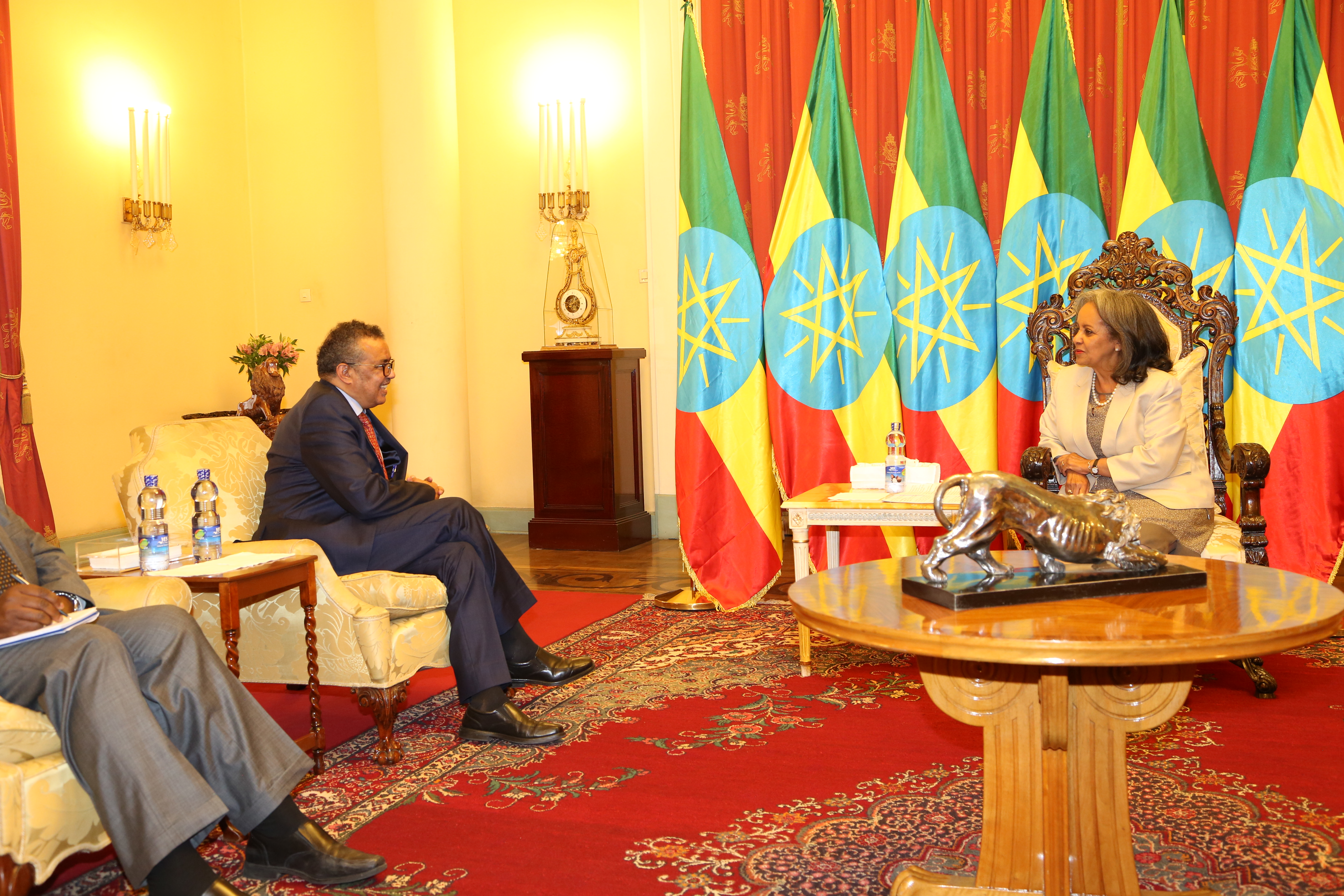 DG discussing with H.E. Mrs. Sahle-work Zewde, president of Ethiopia